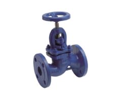 GLOBE AND BELLOW VALVES